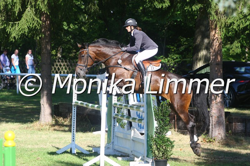 308M2694_Somani_Stil Mx.JPG